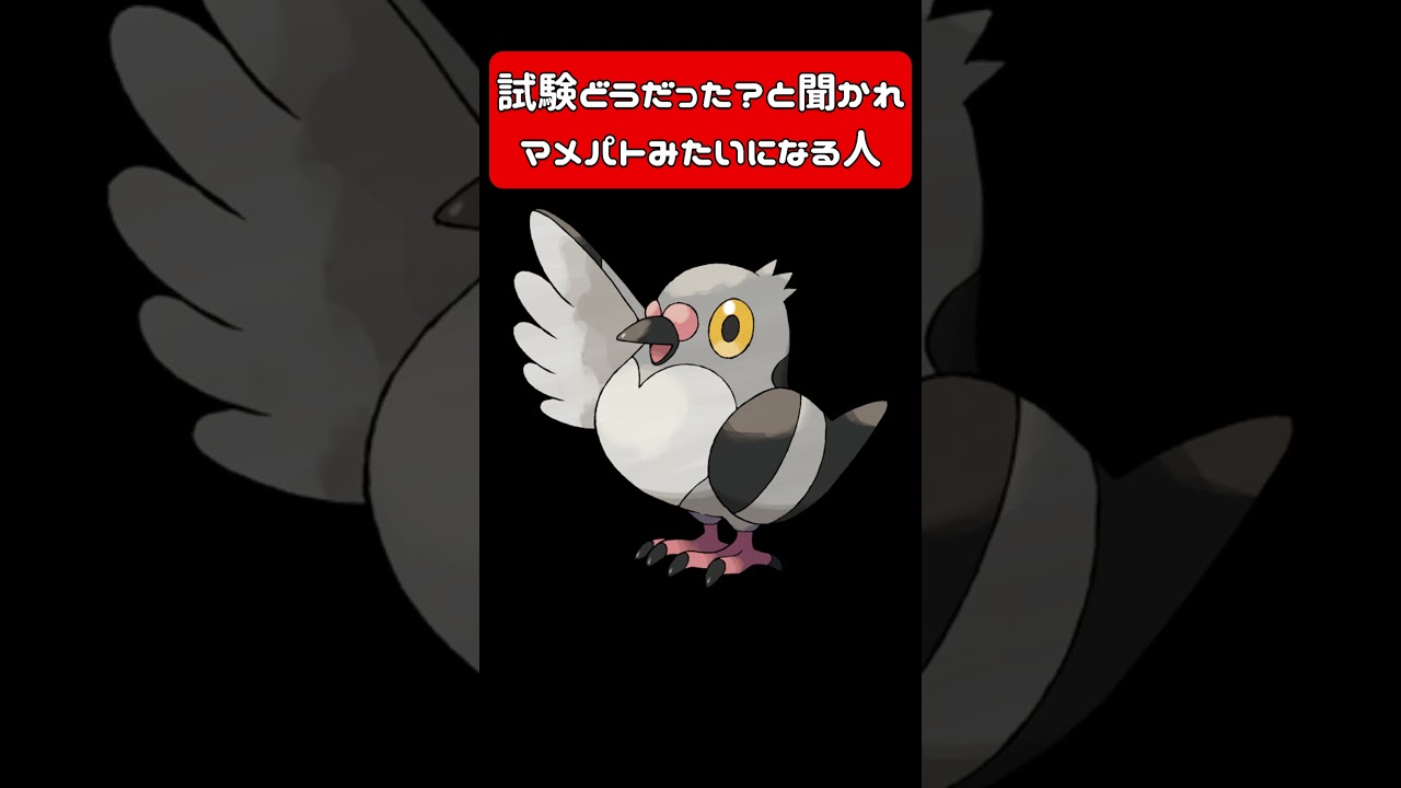 試験どうだった？と聞かれマメパトみたいになる人 #vtuber #モノマネ #アフレコ #ポケモン #pokemon #マメパト