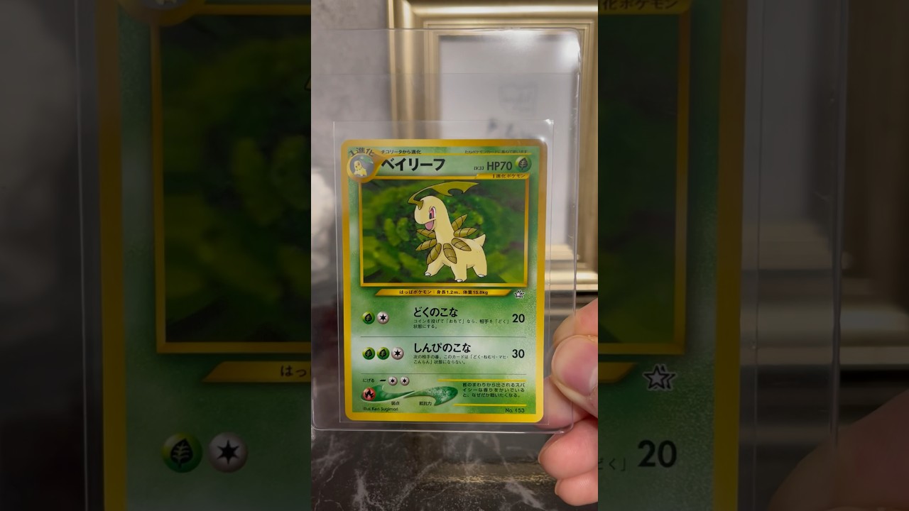 【ポケカコレクション】ベイリーフ好きな人は高評価押してね！ #ポケカ #ポケモンカード #pokemontcg #ポケカ投資 #ポケカ高騰予想 #ポケカ開封 #オリパ開封 #ポケカ相場分析
