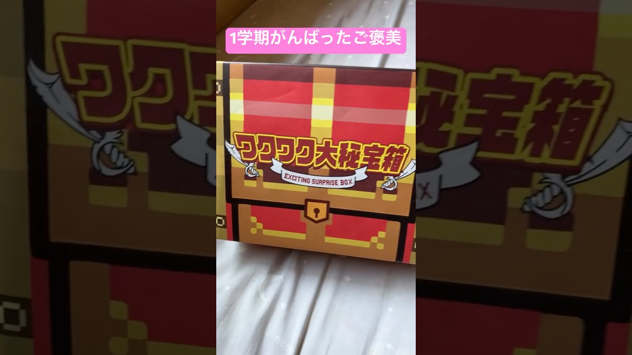 ワクワク【宝箱】#ショート #shorts #夏休み
