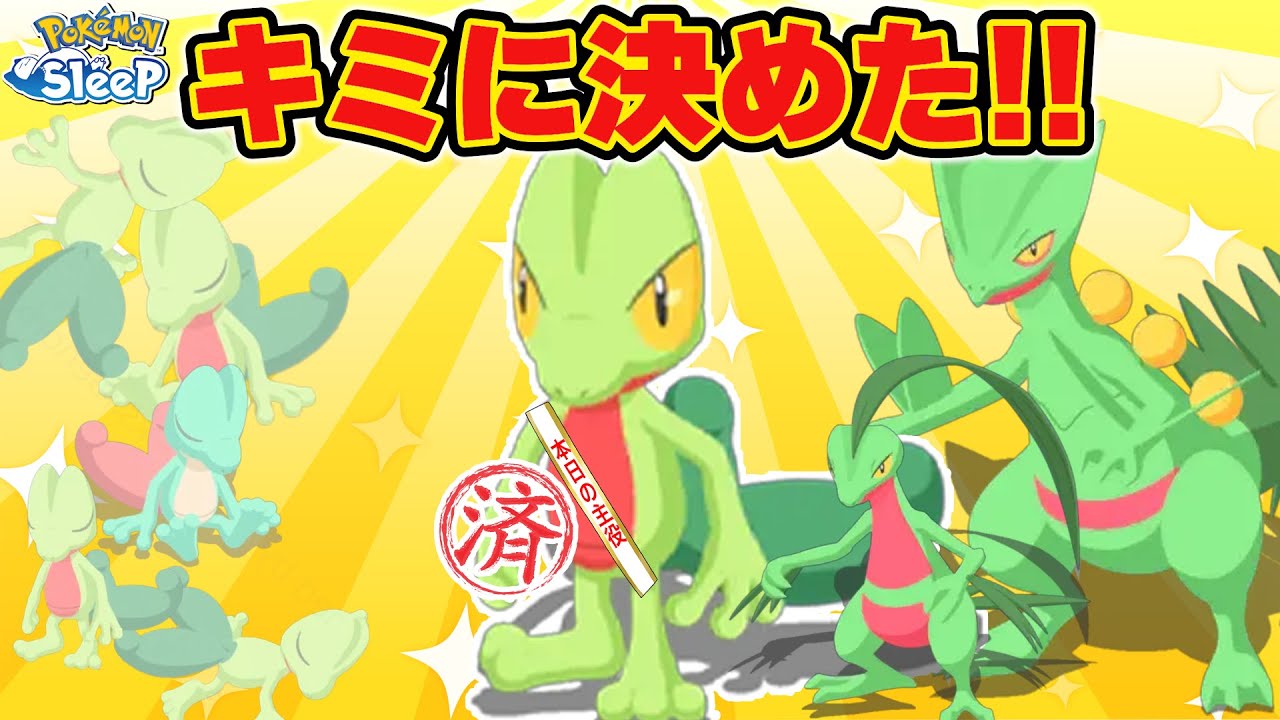 遂にジュカインになるキモリが来てくれました！！【ポケモンスリープ】