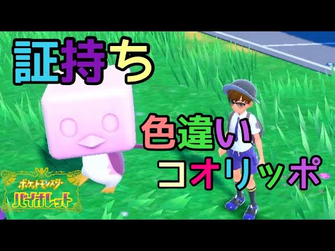 【ポケモンSV】実況！おすすめレベル上げ実況中に色違いコオリッポ！【バイオレット】色違い厳選#11