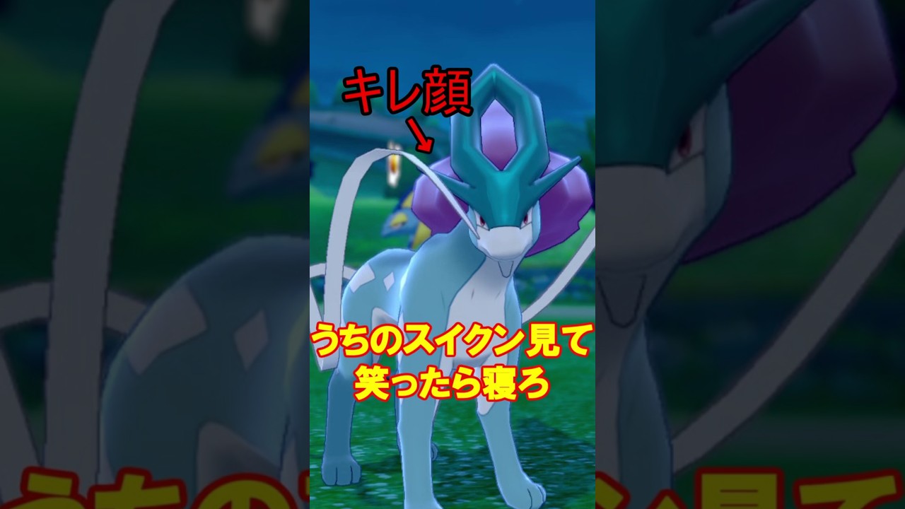 準伝級ドジ犬 #ポケモン #禁止伝説　#スイクン