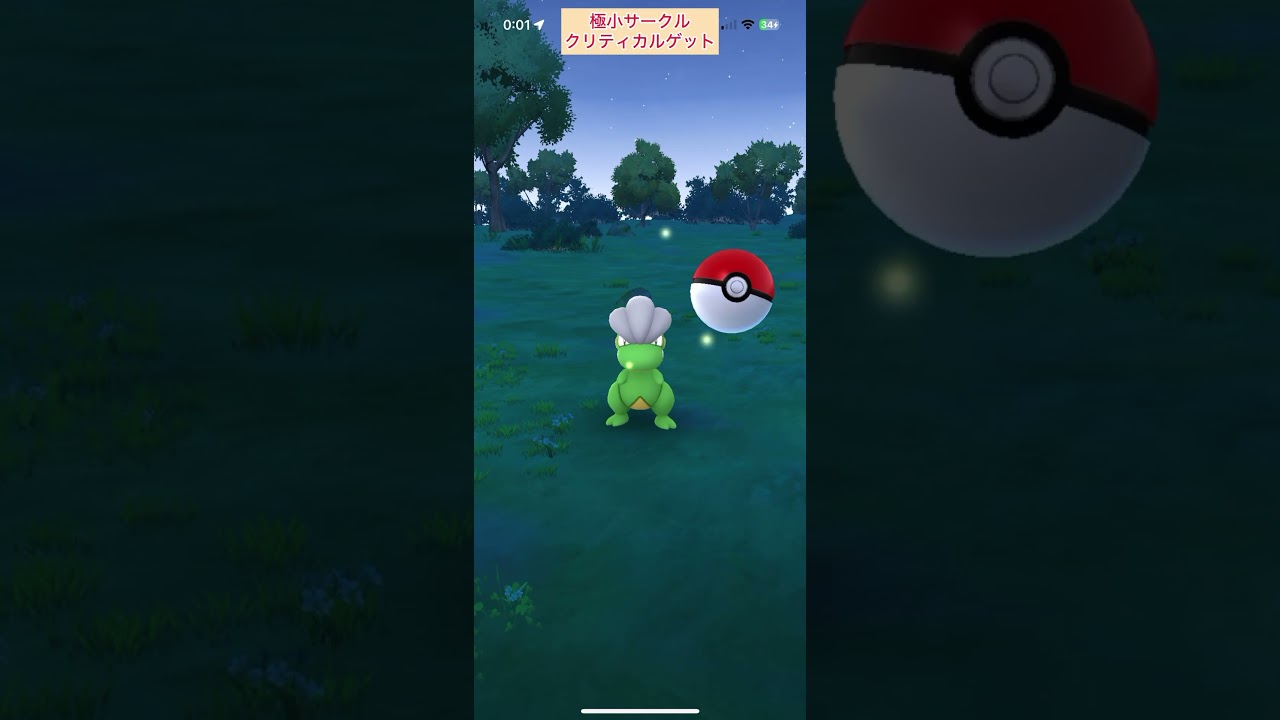【難易度中】色違いタツベイ極小サークルクリティカルゲット【ポケモンGO】