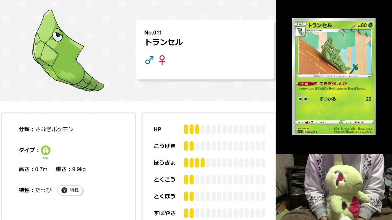 毎日ポケモン図鑑13日目　全国図鑑No.11トランセル