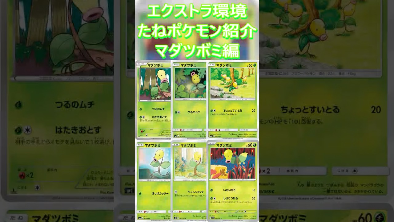 【ポケカ/エクストラ】エクストラおすすめたねポケモン紹介 マダツボミ編  #shorts #ポケモンカード #マダツボミ #pokemontcg #エクストラバトルの日