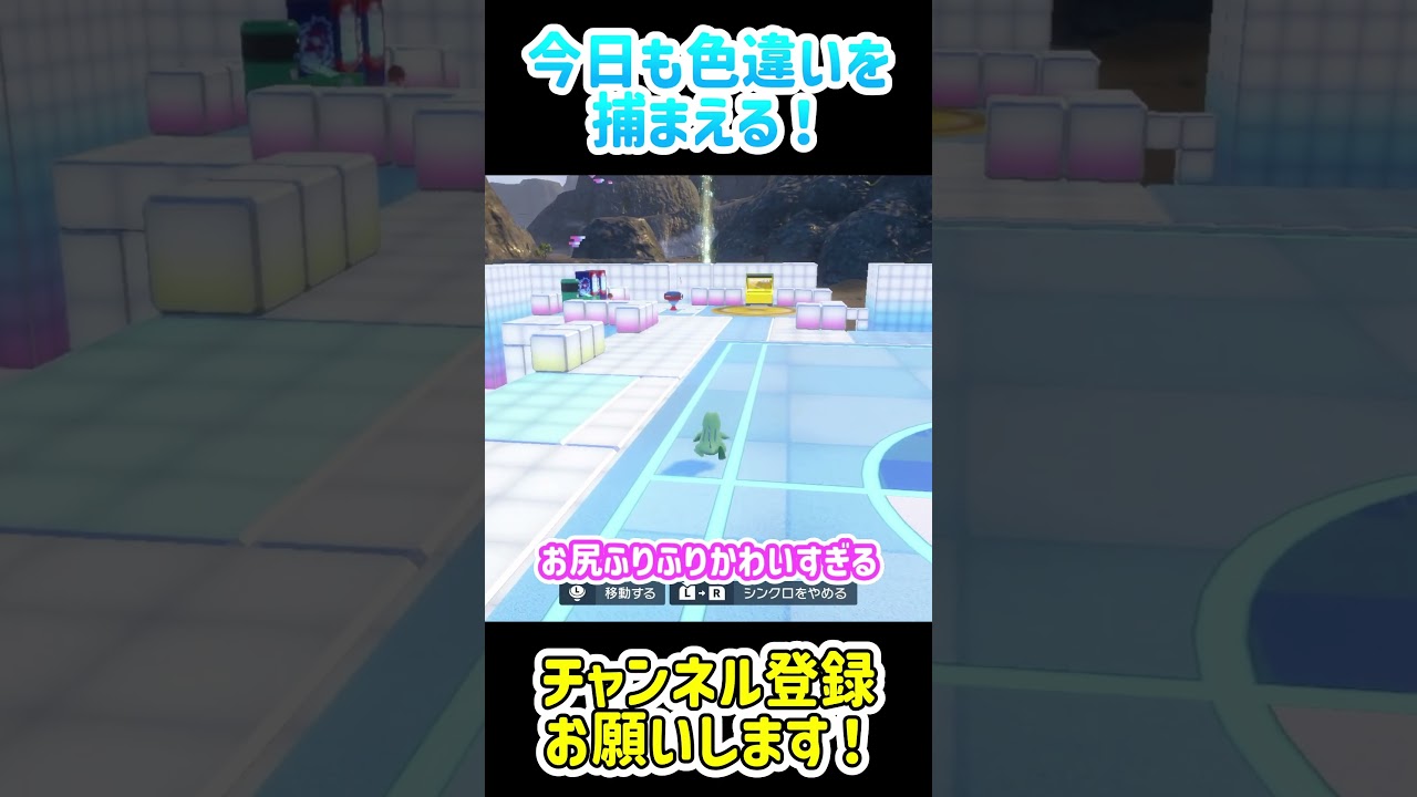 【ポケモンSV】色違いのワニノコ捕まえる！