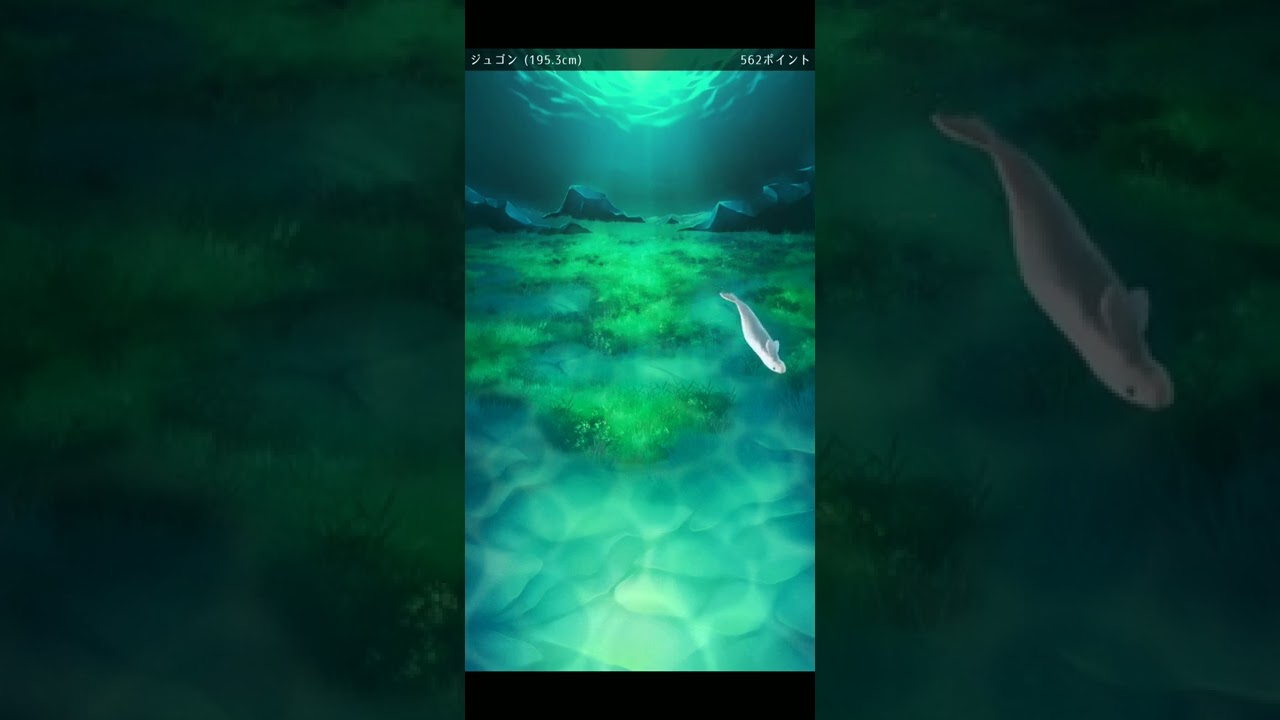 ジュゴン96日目
