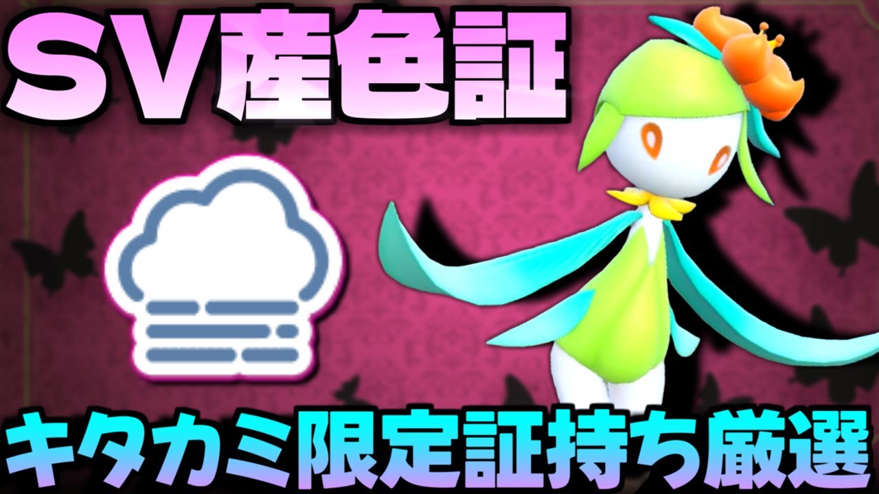 【ポケモンSV】SV産の色証ヒスイドレディア誕生!? 普段よりも色違いが簡単に出る夏休み大量発生イベントでチュリネ色厳選リベンジ!!【色違いポケモン】