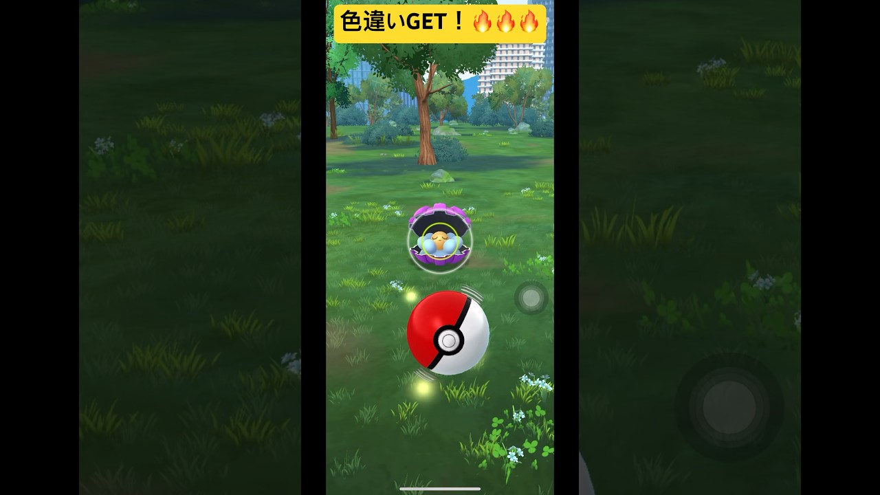 【ポケGO】パールル色違いGET &進化！🔥🔥🔥サクラビス or ハンテール？！