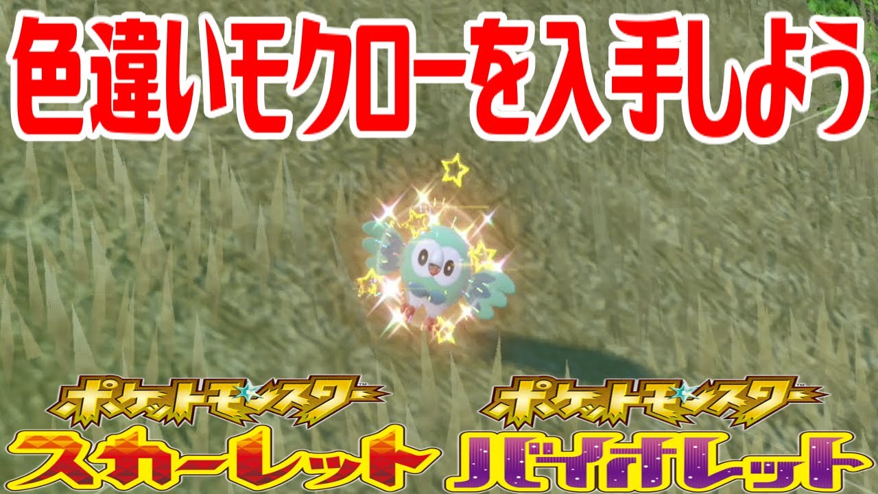 【ポケモンSV】色違いモクローを入手しよう【ポケットモンスター スカーレット・バイオレット ゼロの秘宝 藍の円盤】Pocket Monsters
