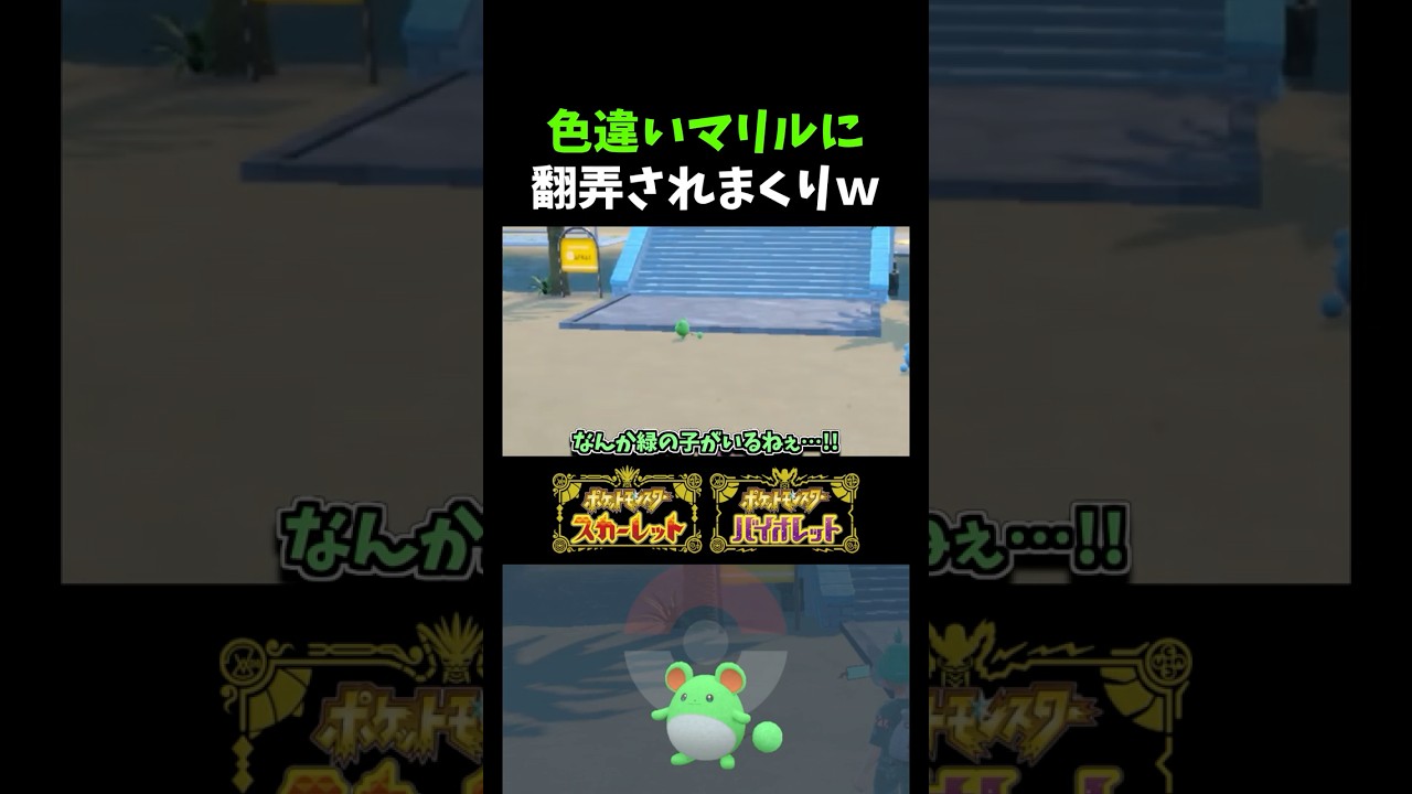 【ポケモンSV】自然遭遇で証持ち!? イーブイイベント中に出現した色違いマリルを捕まえるのが大変過ぎたｗｗｗ【ポケモン】【切り抜き】【色違い厳選】【色違いポケモン】#shorts