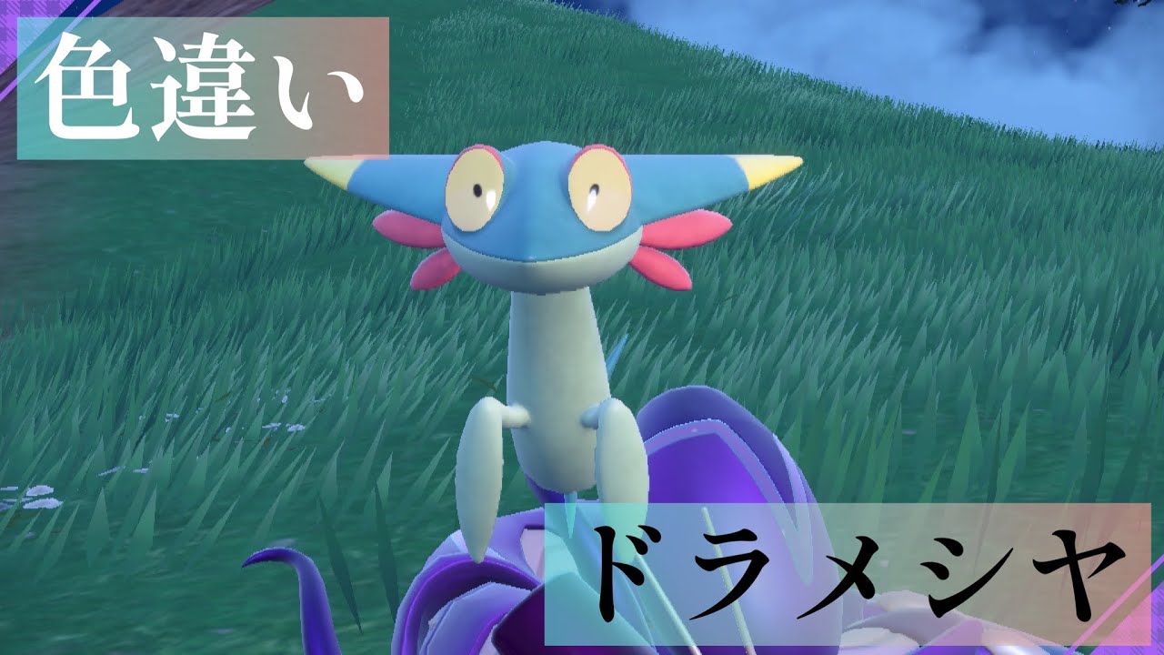 【ポケモンSV】色違いドラメシヤ遭遇〜進化/ドラメシヤ・ドロンチ・ドラパルト【ポケットモンスタースカーレットバイオレット】