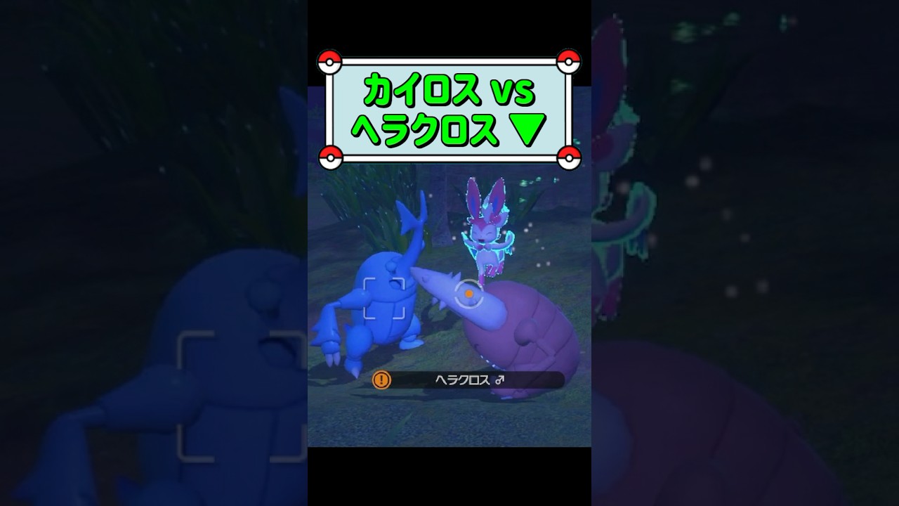 「カイロス vs ヘラクロス ▼」　#ポケモンスナップ　#ポケモン　#shorts