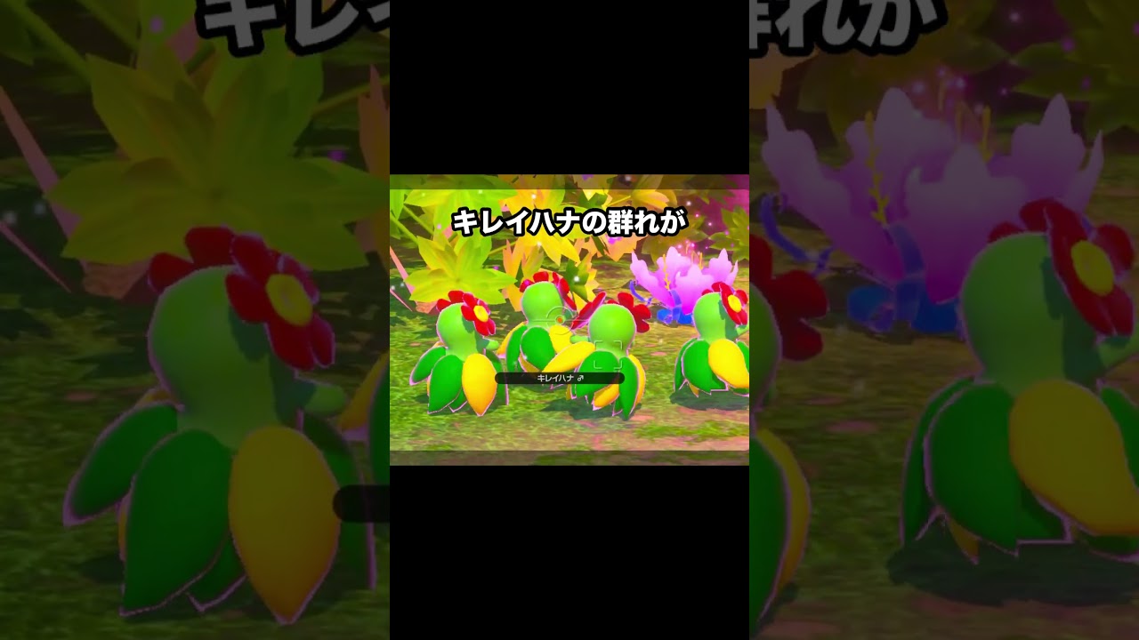 上品なキレイハナの変なポーズ？？　#ポケモン #newポケモンスナップ