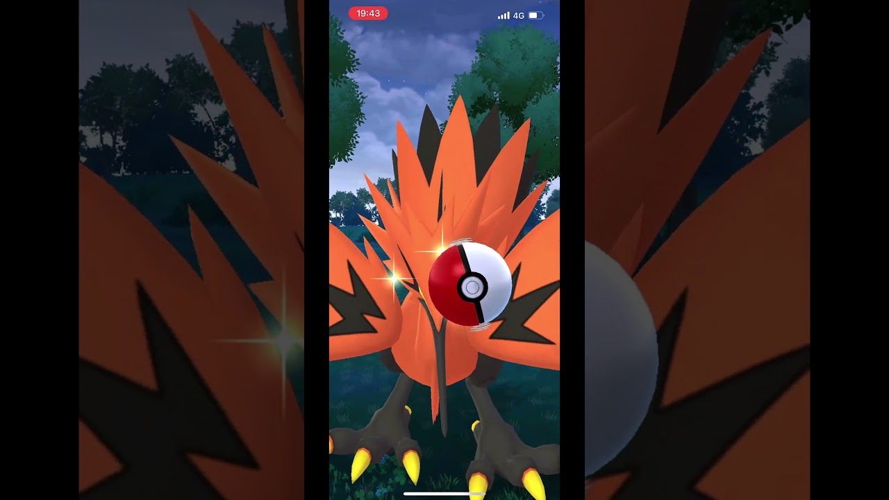 ガラルサンダー通算5回目！夏の涼しい夜のポケ活！#shorts #ポケモンgo #ガラルサンダー