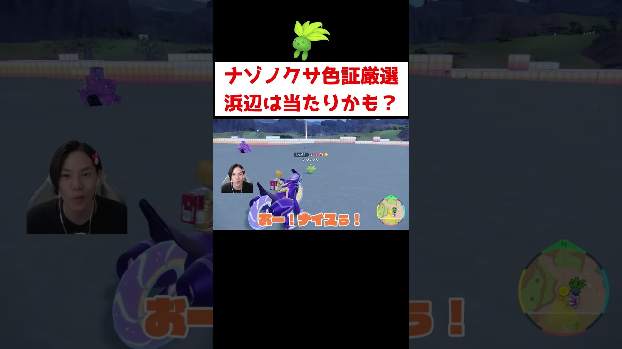 ナゾノクサ色証厳選 #ゲーム実況 #shorts #ポケモン #ポケモンSV #色違い #厳選 #配信 #顔出し #ナゾノクサ #switch2
