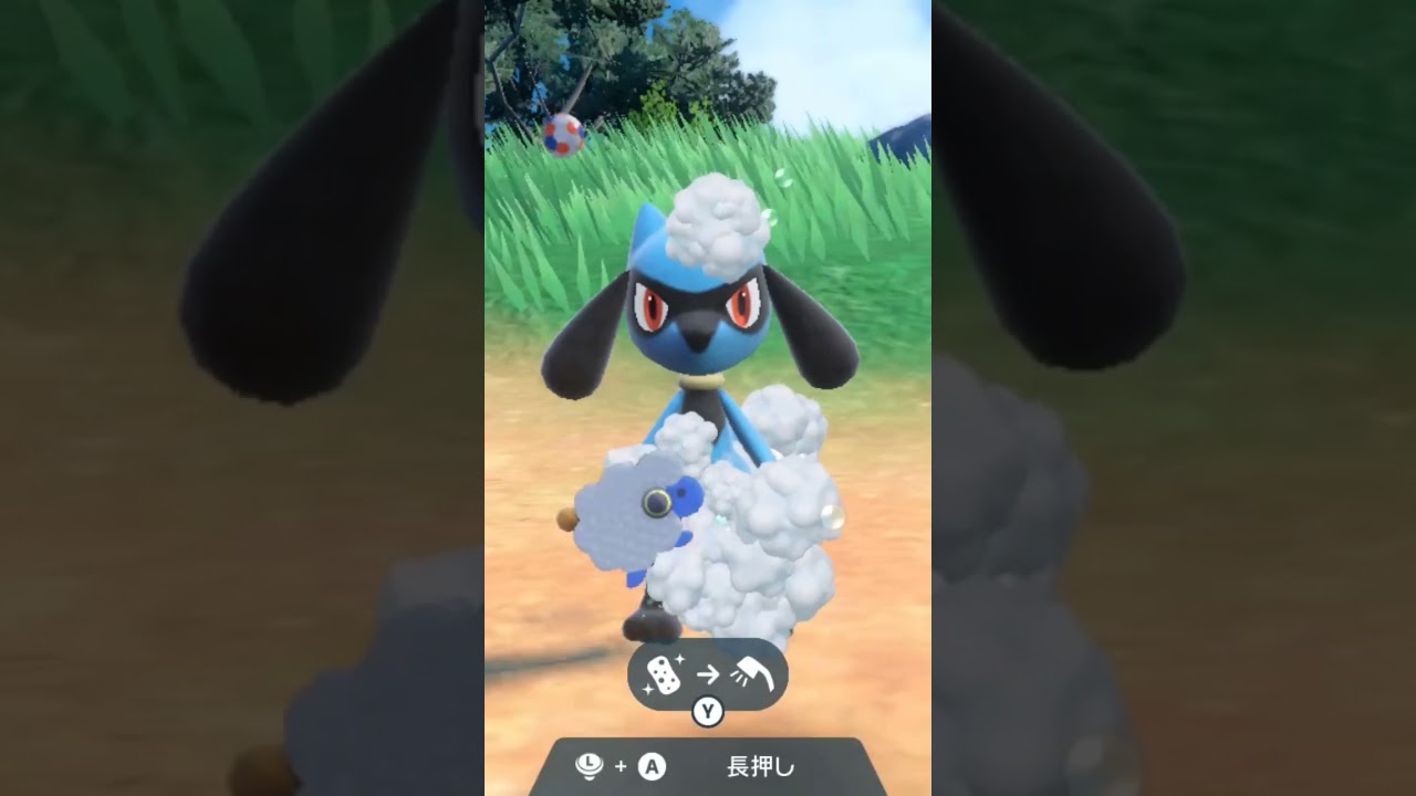 リオル【ポケモンsv】