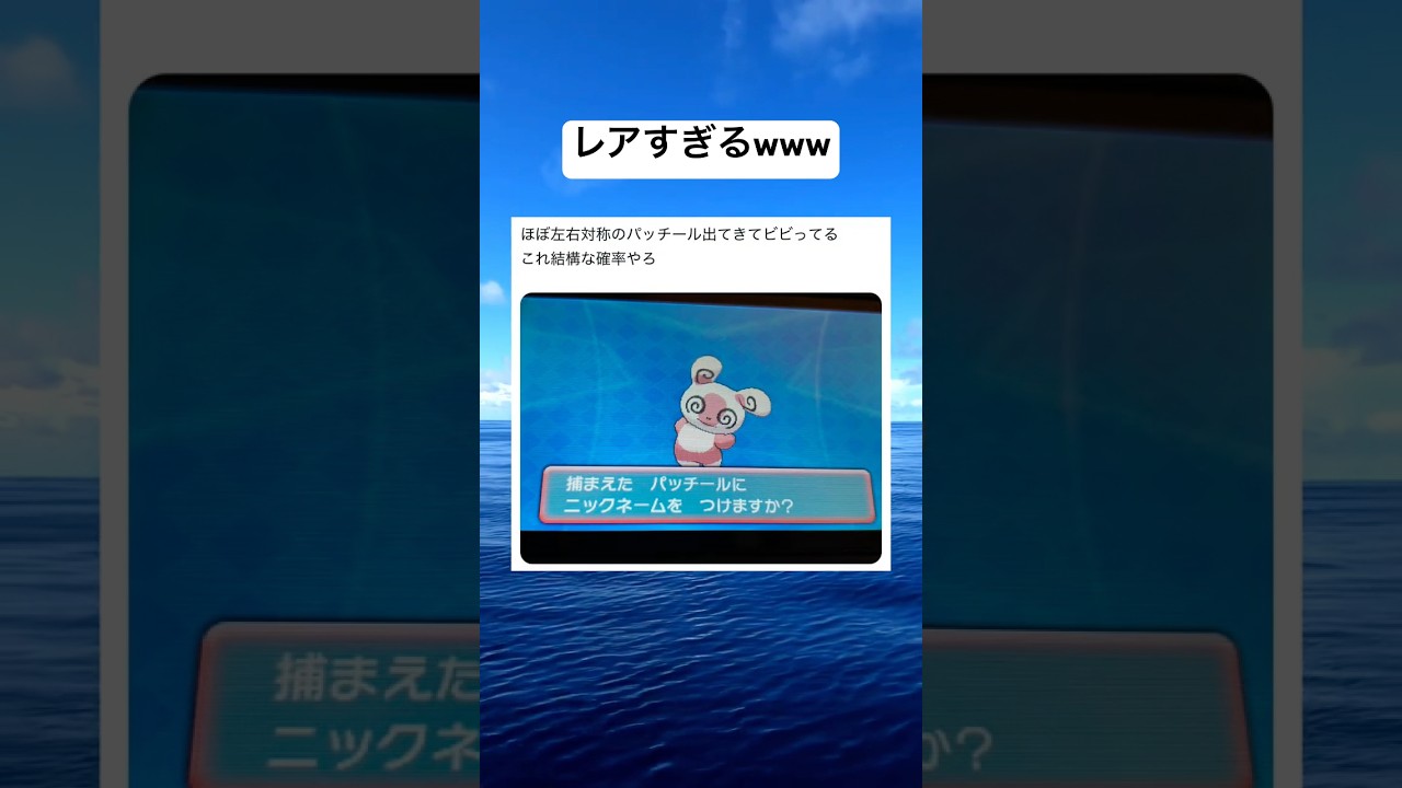 左右対称のパッチールがレアすぎるwww #shorts #おもしろ #ポケモン #奇跡 #激レア