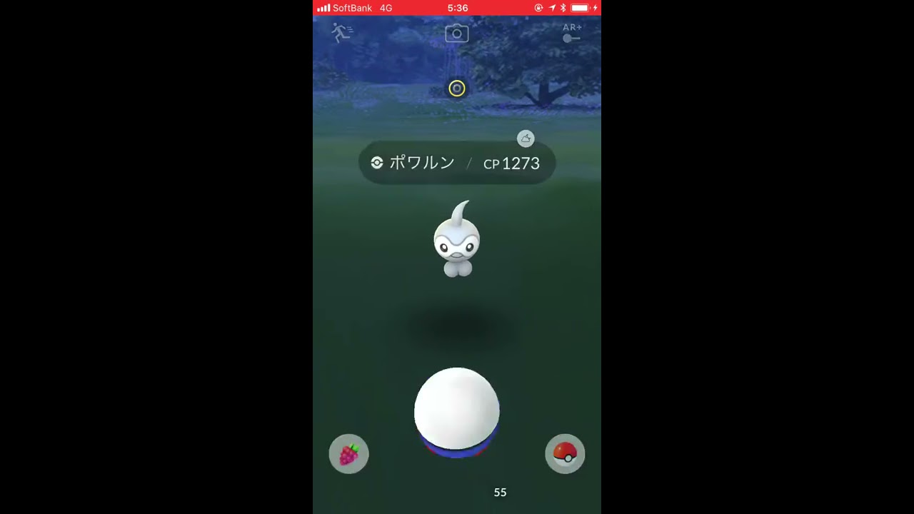【2018/2/27】ポケモンGO 個体値100ノーマルポワルン初ゲット
