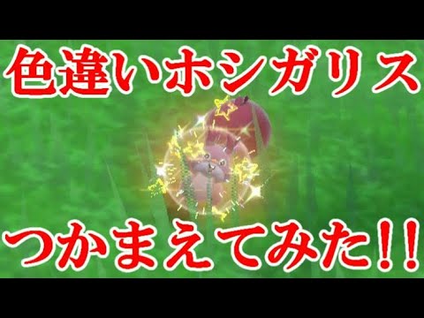 【ポケモンSV】色違いホシガリスつかまえてみた！！