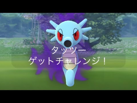 ポケモンgo シャドウタッツーゲットチャレンジ
