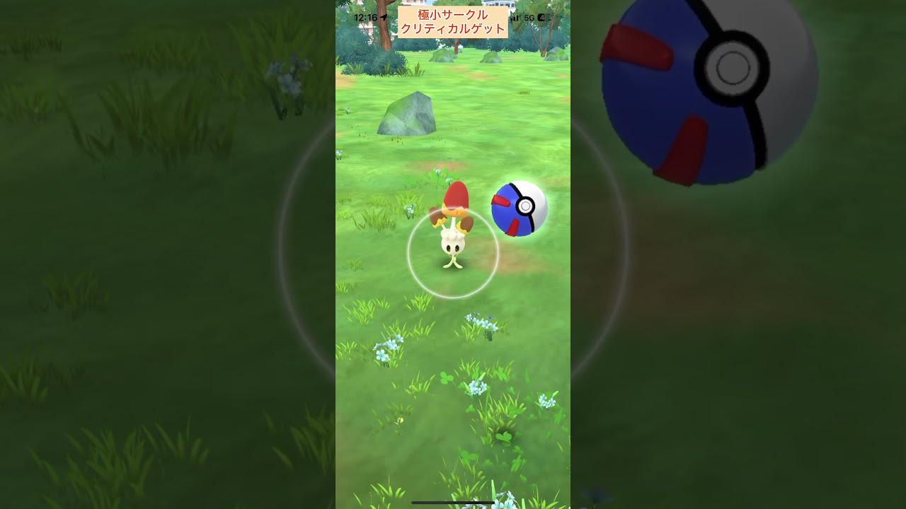 【難易度高】色違いネマシュ極小サークルクリティカルゲット【ポケモンGO】