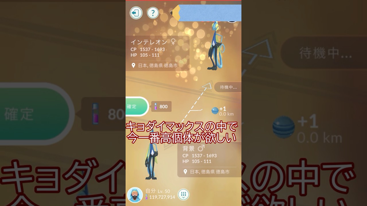 ✨キラ交換✨SP背景付きキョダイインテレオン💦#ポケモンgo #pokemongo #pokemongoshorts