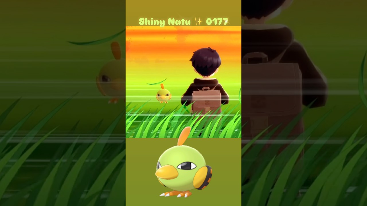 Shiny Natu ✨ 0177 caught in Pokemon Brilliant Diamond with Shiny Charm and Pokeradar