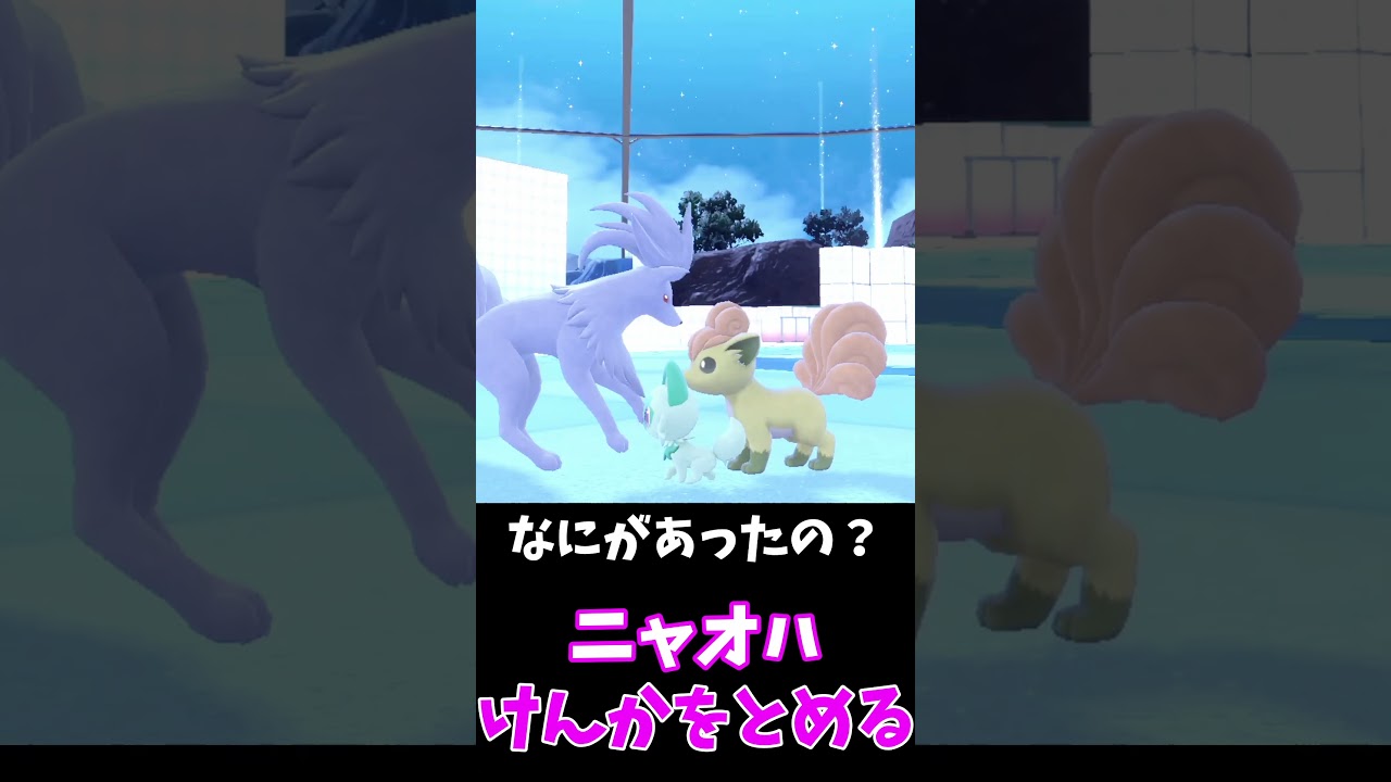 ニャオハ、止めたいケンカ🙀ロコンとキュウコンとパゴゴ🦊🦊🐢【ポケモンSV】　#shorts