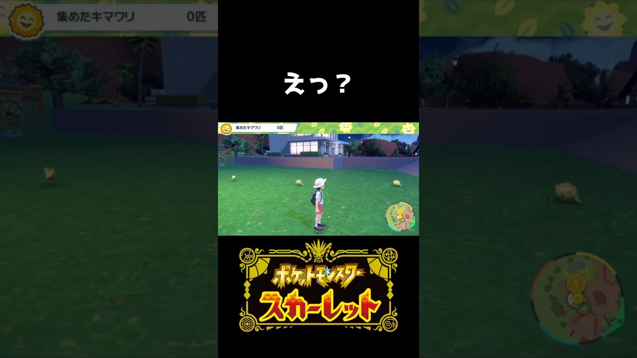 キマワリ集めって大変そう #ポケモン #ポケモンSV #パルデア