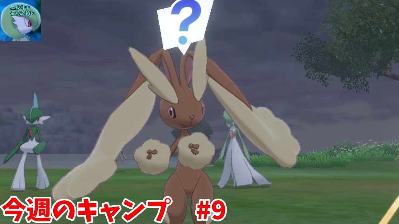 【今週のキャンプ】#9　からぶりミミロップ