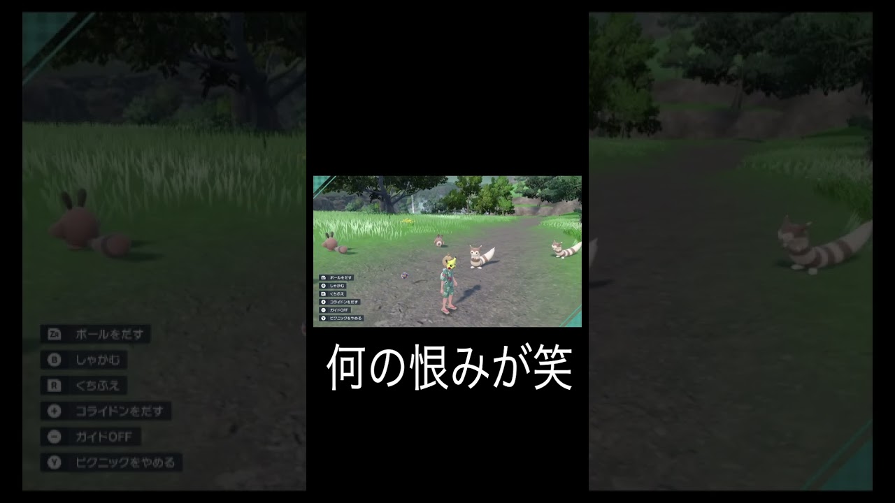 【ポケモンSV】オオタチ族にボールをぶつけられる男