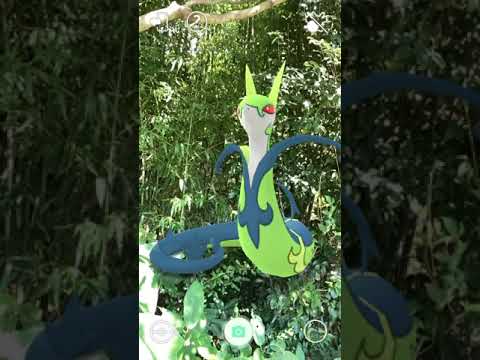 #Shorts【ポケGO】AR動画｜PoKeMoN GO AR｜495ツタージャ｜Snivy｜496ジャノビー｜Servine｜497ジャローダ｜Serperior｜ShinyPokémon ｜草露白