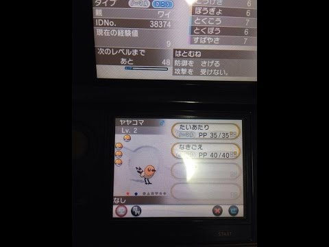 【ポケモンXY】色違いのヤヤコマを発見！！