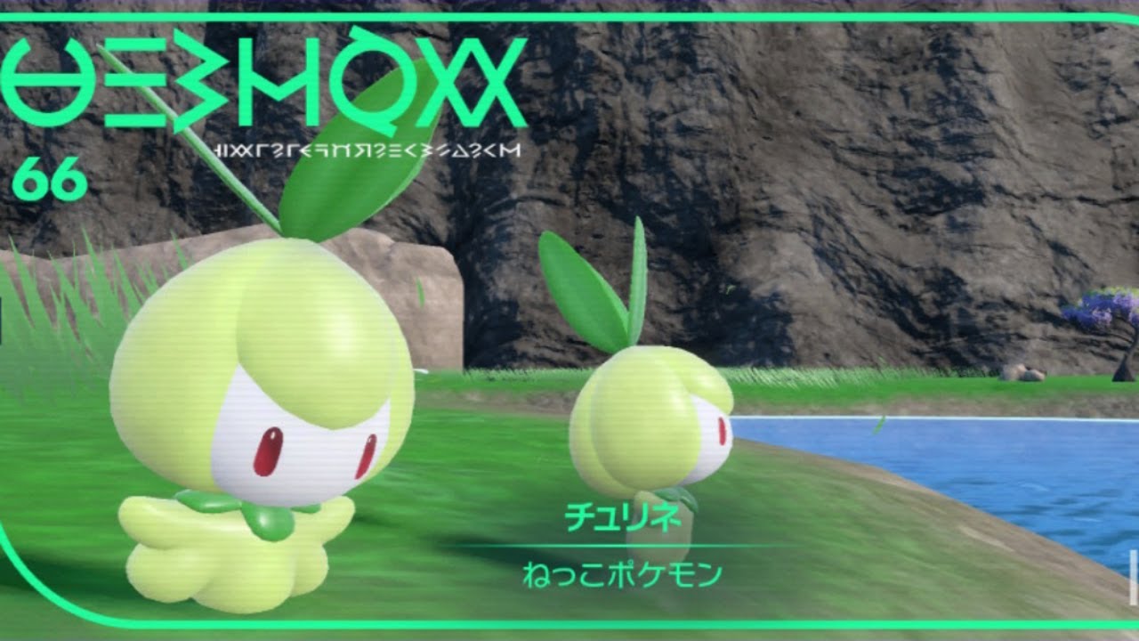 チュリネいっぱい色厳選！