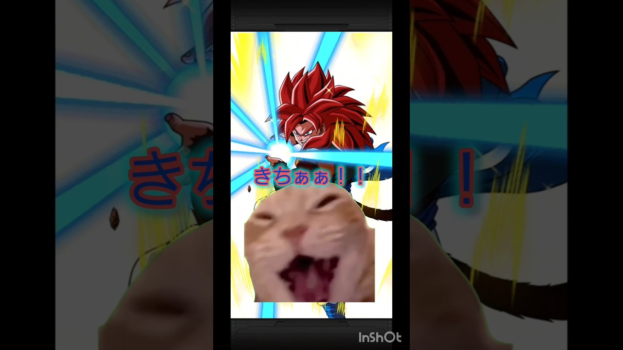 トゲピーのガシャ引いたけど…　　　　　　　　　　 #ドッカンバトル #ドラゴンボール #dragoball #shorts #猫ミーム #anime #song