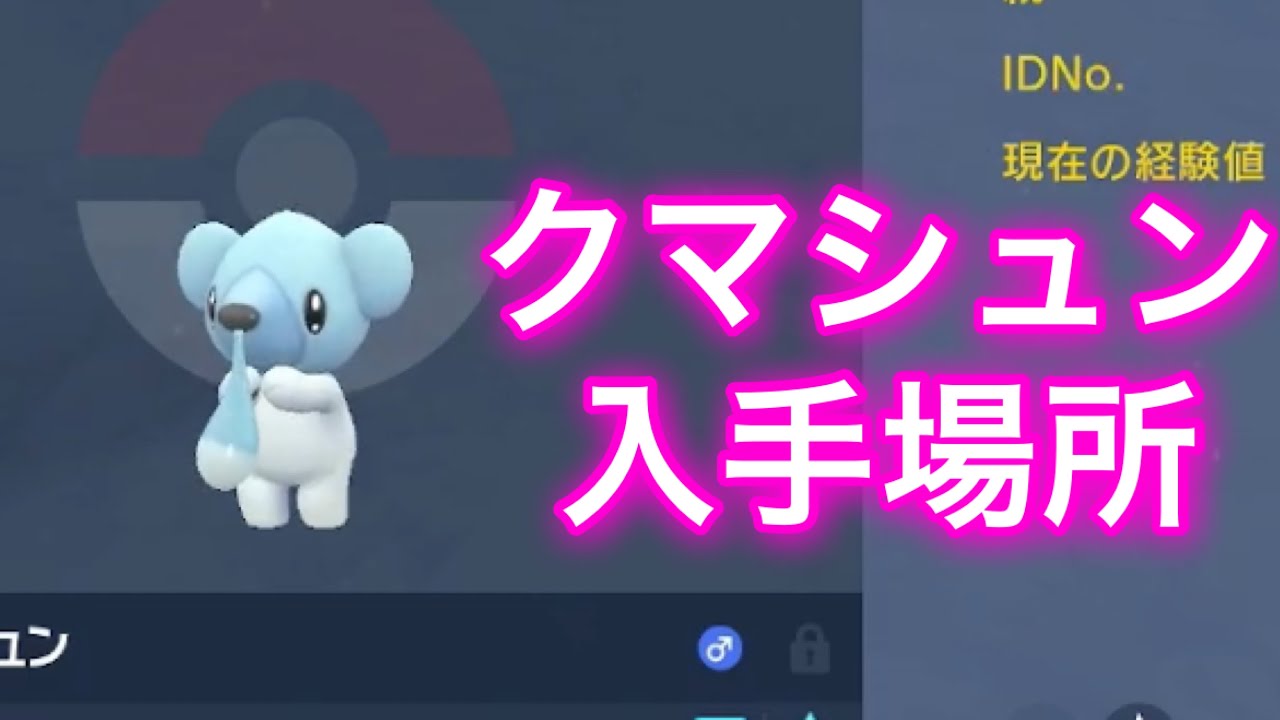 【ポケモンSV】【藍の円盤】クマシュン入手場所