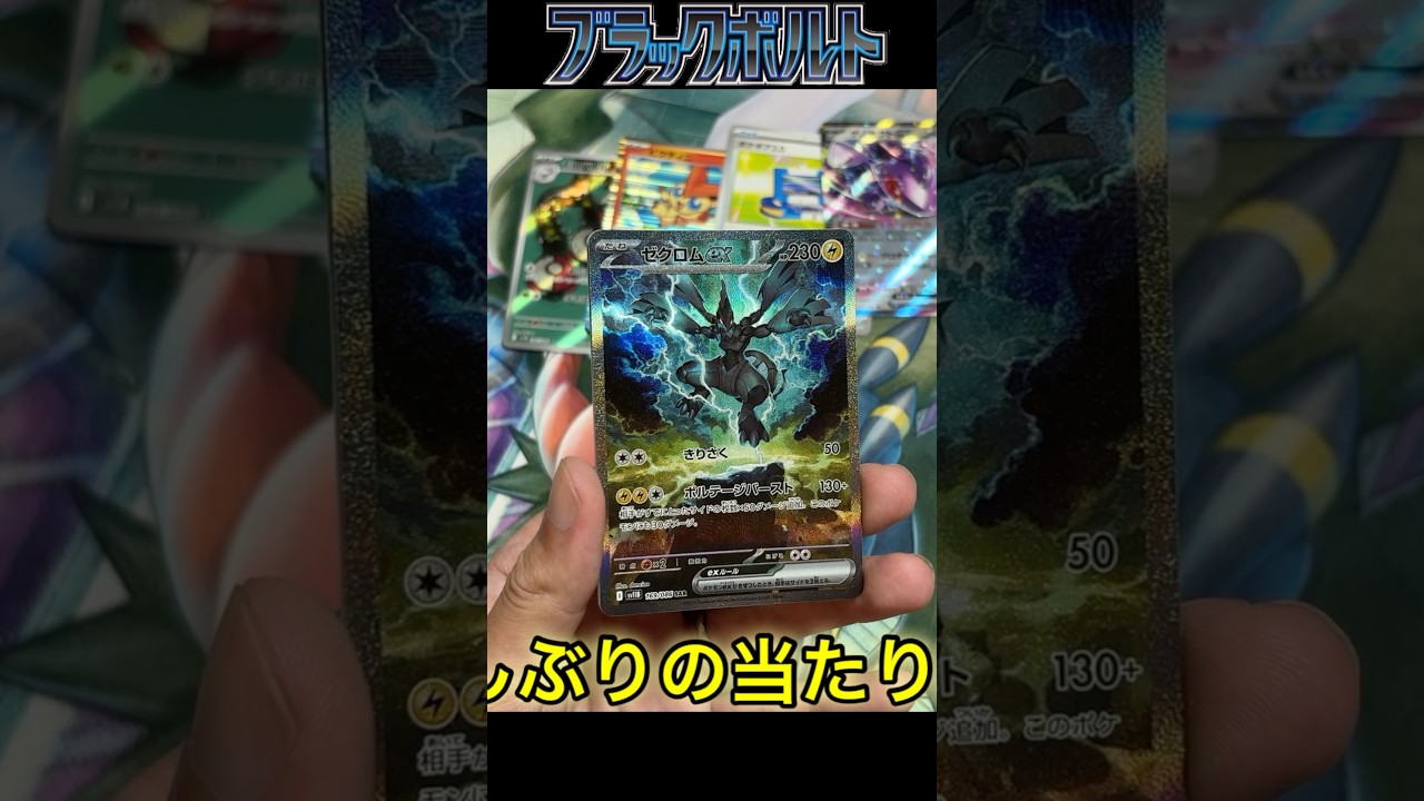 ブラックボルト10パック開封したら久しぶりに大当たりぶち抜いたんだが⁉︎ゼクロムSAR 【ポケカ】【開封動画 #pokemontradingcardgame #ポケカ 】