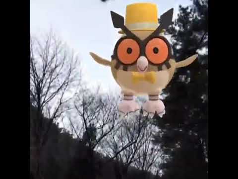 부우부 ( Hoothoot ) ホーホー ( 咕咕 )