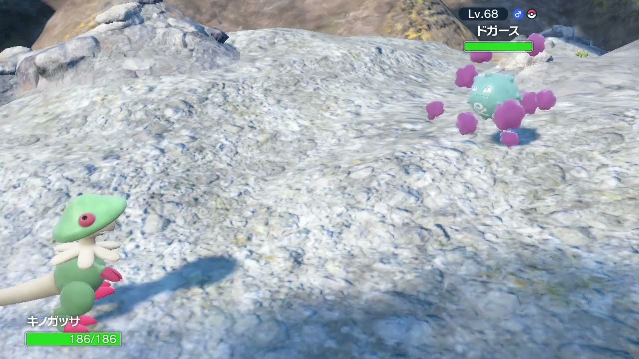 色違いドガースさんが…(ポケモンSV)