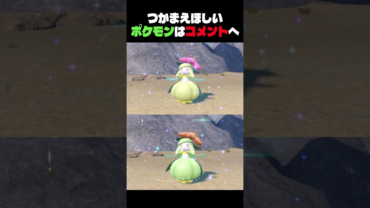 色違いのチュリネが違いがわからなすぎる