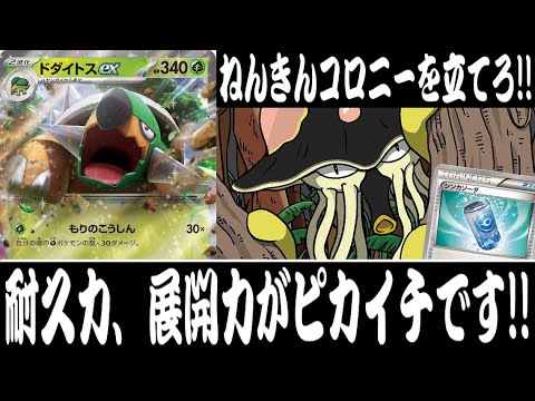 【ポケカ対戦】これが考え抜かれたドダイトスだ！！『ドダイトスex』デッキレシピ有【エクストラ/しょこらてぃえ】