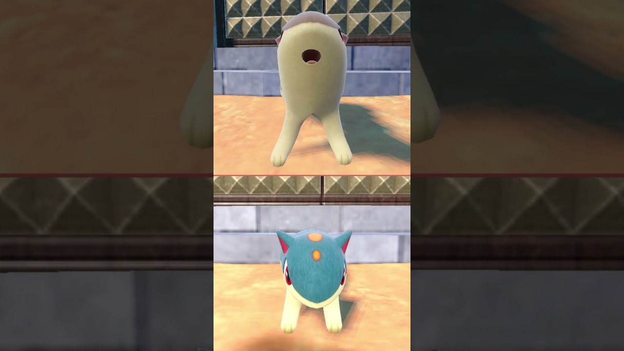 #マグマラシ  #ポケモン  #quilava  #pokemonscarletandviolet