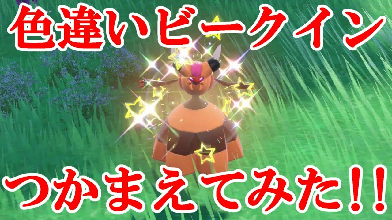 【ポケモンSV】色違いビークインつかまえてみた！！