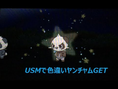 USMで色違いヤンチャムGET