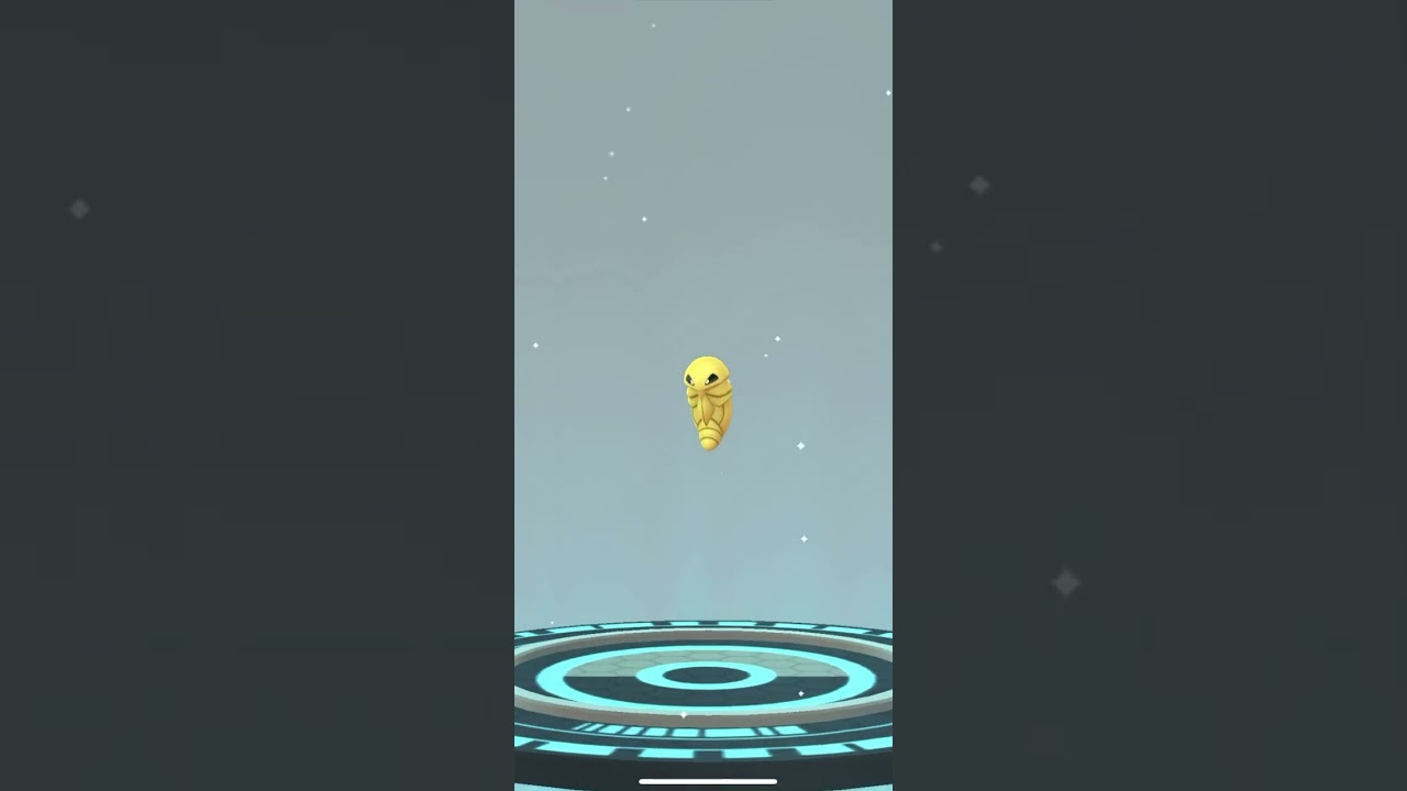 【進化集】ビードル→コクーン→スピアー→メガスピアー