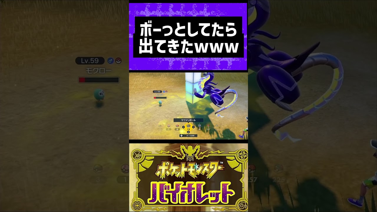 モクロー出てきた!?!?!?#ポケモン #ポケモンsv #ポケモンバイオレット