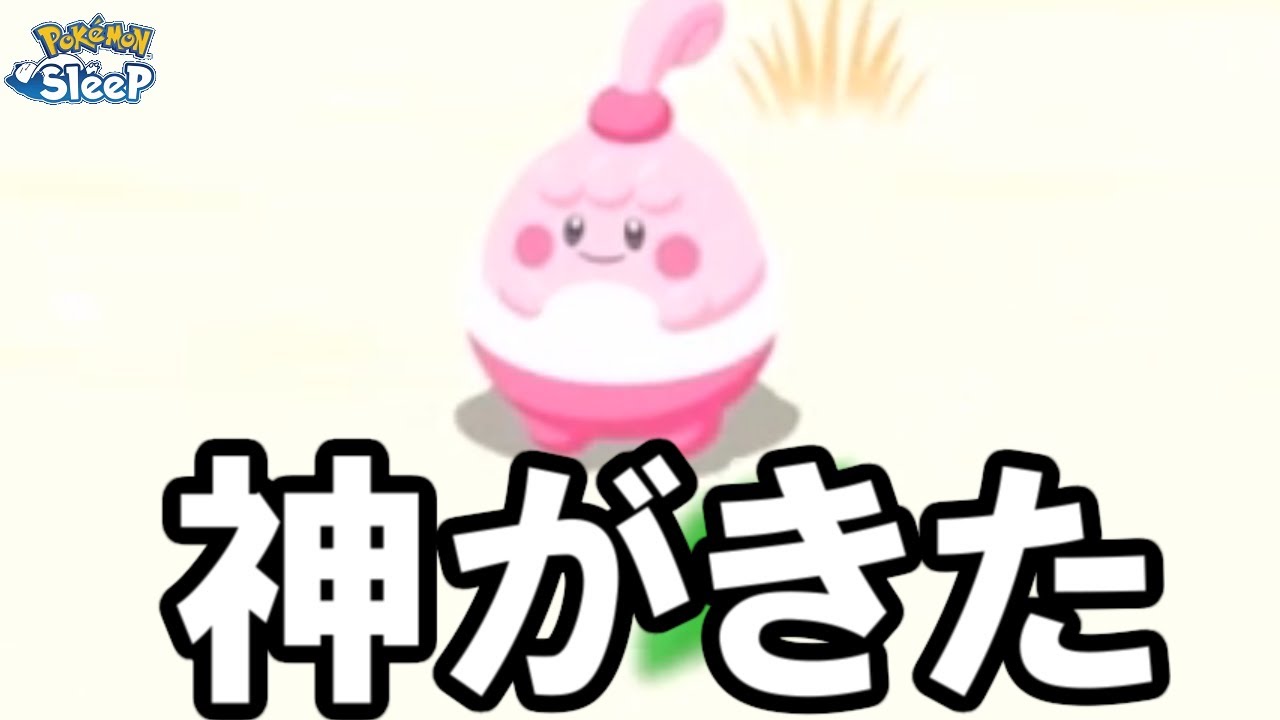 最強ハピナスの旅、終わる・・・？【ポケモンスリープ】