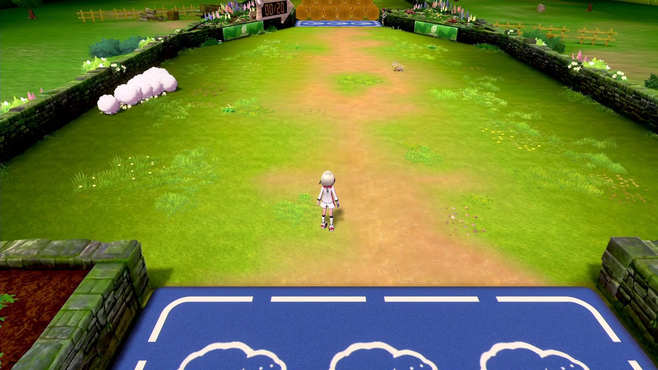 【ポケモン剣】カムカメに代わる水ポケモンを探して【アミーゴ竹山】
