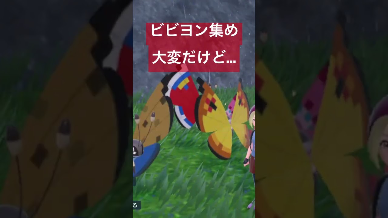 僕のビビヨンちゃん達